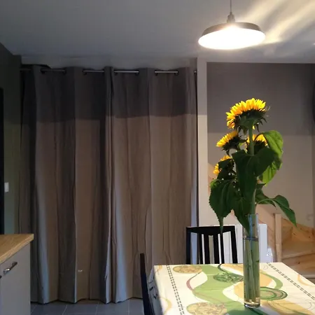 לינה וארוחת בוקר Demeure & Dependance - D'hotes Depuis 2012 טאסן-לה-דמי-לון